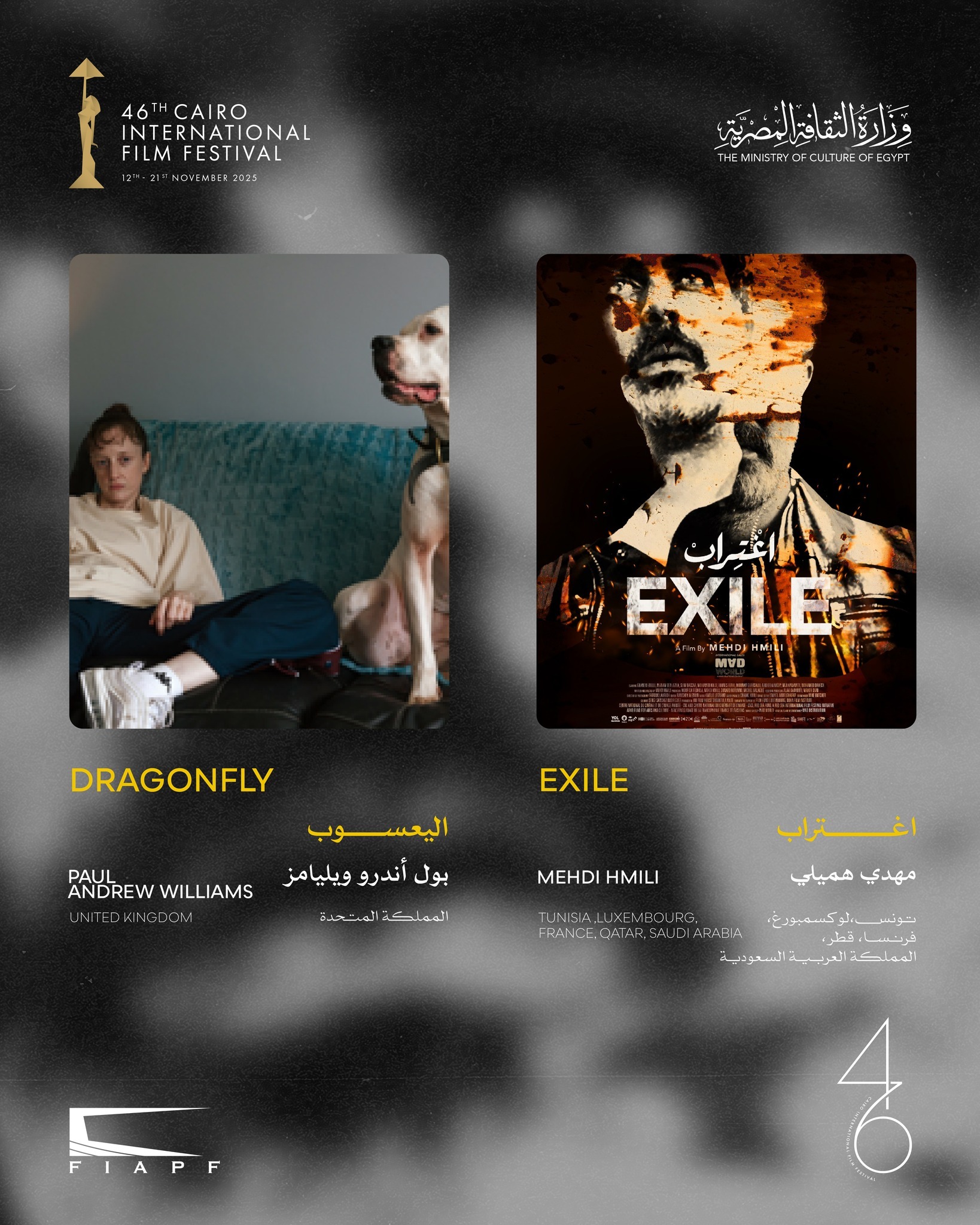 CIFF 2025 International competition